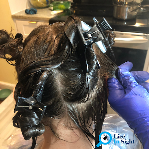 Lice In Sight, Inc. - Lice Treatment and Lice Removal Service - lice treatment clinic in New York, NY