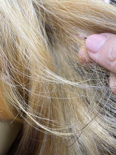 LiceDoctors Lice Treatment and Lice Removal Somerville, Bridgewater, Edison - lice treatment clinic in Edison, NJ