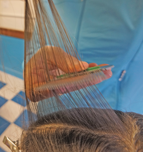All About Lice - lice removal clinic in Waterville, ME