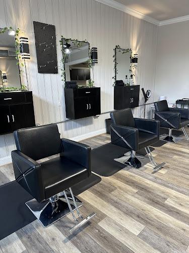 PALS Lice Treatment & Removal Norfolk - lice treatment clinic in Norfolk, VA