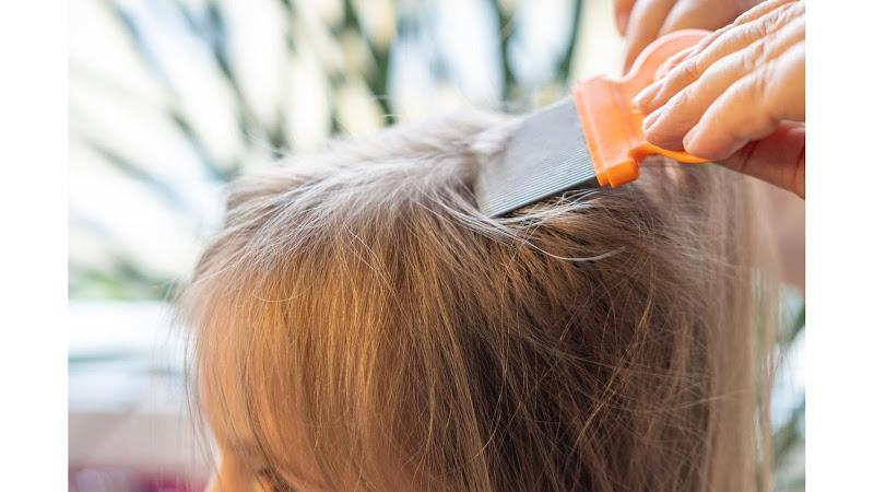 Lice Lifters Of Nassau County - Lice Treatment and Lice Removal - lice treatment clinic in Wantagh, NY