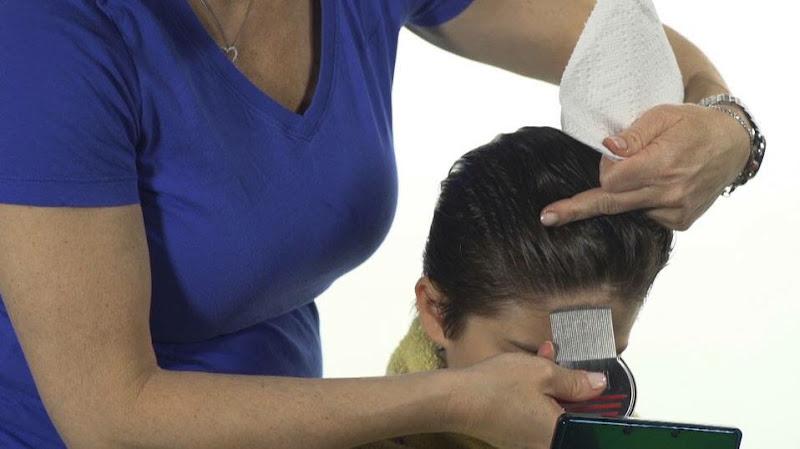 Md Lice Control - lice treatment clinic in Timonium, MD