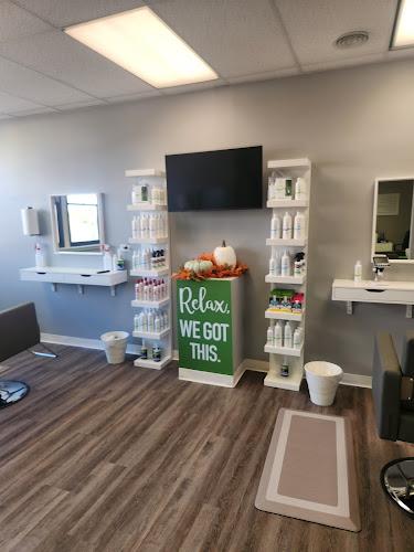 Lice Clinics of America - Elmhurst, IL - lice treatment clinic in Elmhurst, IL