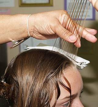 Help For Lice Indy - lice removal clinic in Indianapolis, IN