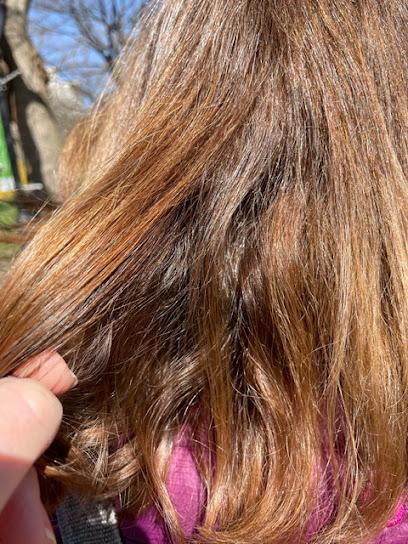 LiceDoctors Lice Treatment and Lice Removal Queens - lice treatment clinic in Service Area, NY