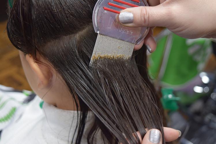Jamie's Lice Removal Center - lice treatment clinic in Sterling Heights, MI