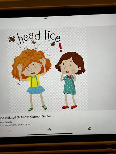 THE LICE MAGICIANS - lice treatment clinic in Locust Grove, GA