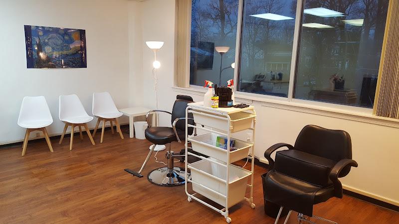 Advice on Lice | Lice Treatment Services | Northern VA - lice treatment clinic in Falls Church, VA