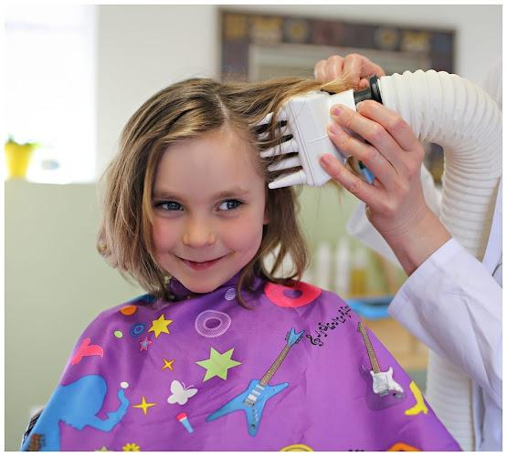 Lice Clinics of America - Centreville - lice treatment clinic in Centreville, VA