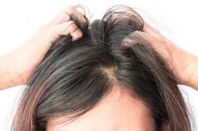 Licenders - Lice Treatment and Lice Removal Columbus Circle - lice treatment clinic in Service Area, NJ